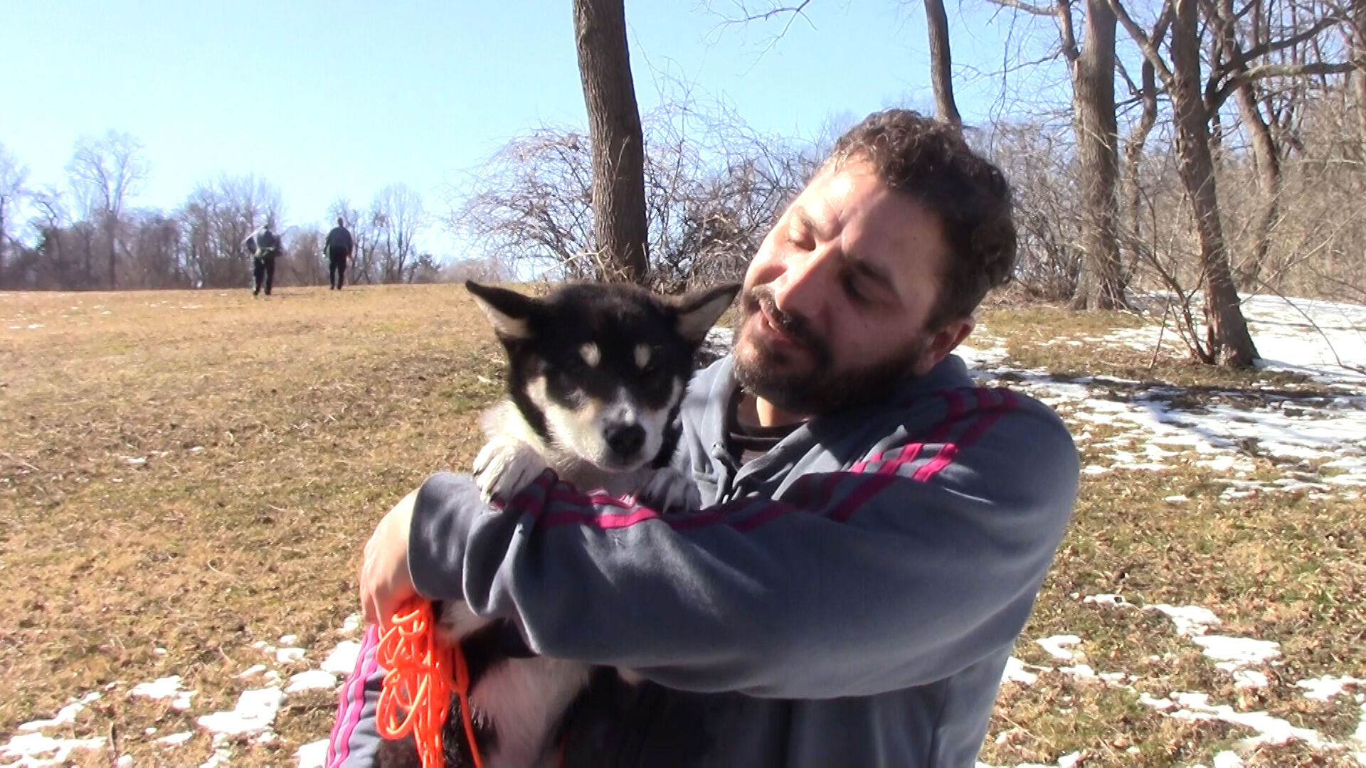 Dog ice rescue 1